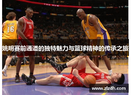 姚明赛前通道的独特魅力与篮球精神的传承之旅
